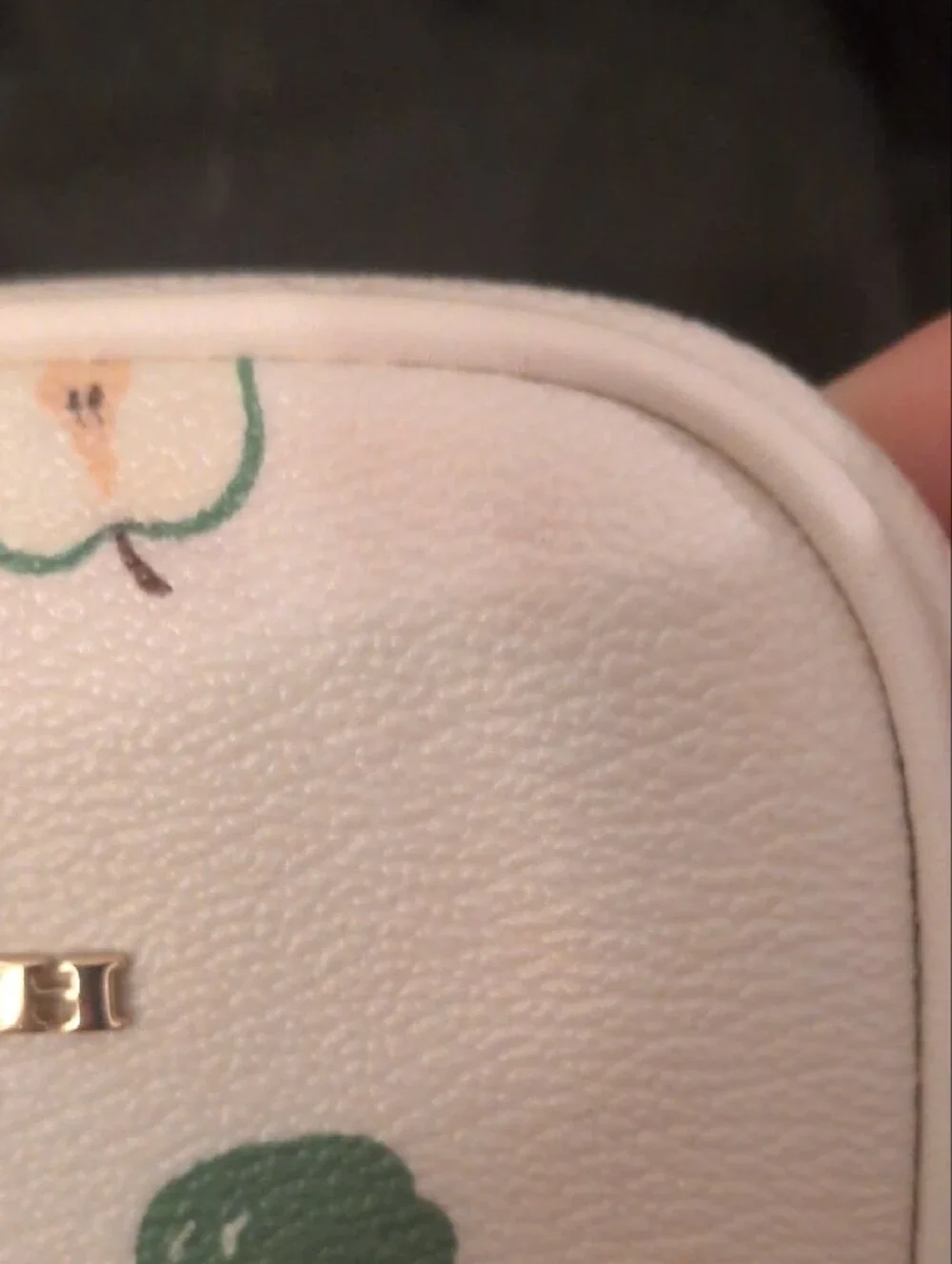 Coach-rare Limited Edition Cream Crossbody Phone Pouch with Green Apple Motif